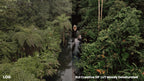 DJI Creative DP LUT Pack