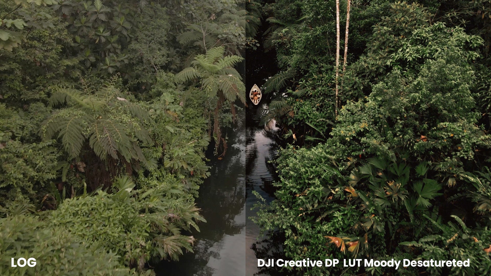 DJI Creative DP LUT Pack
